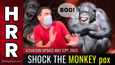 Situation Update, May 23, 2022 - SHOCK THE MONKEY pox