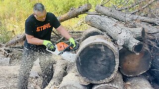 Bucking Up an Old Pile of Logs