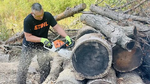 Bucking Up an Old Pile of Logs