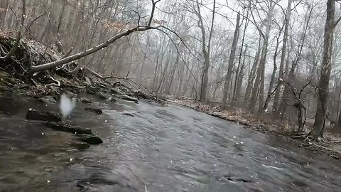 Walking through a creek with hip waders on while it’s snowing. Raw video.