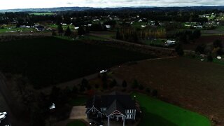 Helicopter lifting Christmas trees