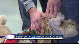 Therapy dogs bring comfort and holiday cheer to travelers at Boise Airport