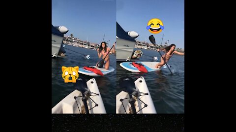 A Girl Fall From Board 😂 . She scared from sealion 🤣