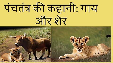 पंचतंत्र की कहानी: गाय और शेर | The Lion And The Cow Story In Hindi
