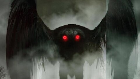 Red-Eyed Mothman Faces Down Truck