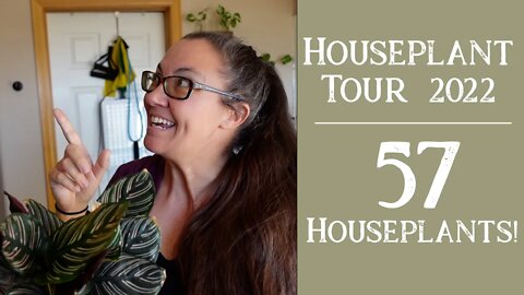Family Friendly Houseplants! | Houseplant Tour 2022