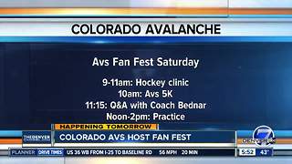 Avs host free fan fest Saturday