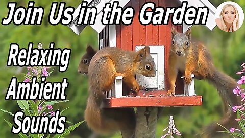 Escape to the Garden: Relaxing Ambient Sounds of Birds and Bees in Full Bloom - while Squirrels play