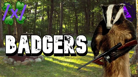 Badgers: Friends or Foes | 4chan /x/ Greentext Stories