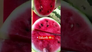 Enjoy! 🍉🍉🍉 #shorts #viral #trending #tiktok ##garden