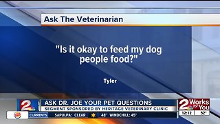 Ask Dr. Joe your pet questions