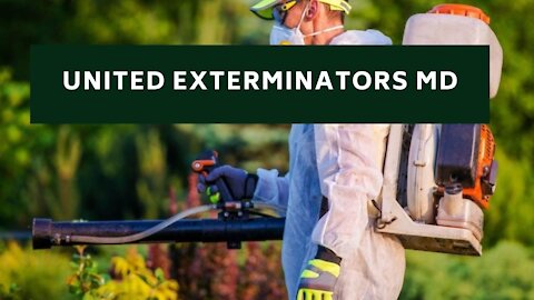 United Exterminators MD