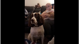 Baby And Dog Look Fixedly At Potential Treat