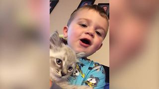 A Toddler Boy And A Cat Meow At Each Other