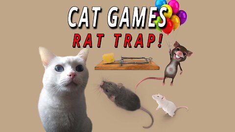 CAT GAMES: Rat Trap!