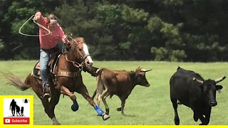 Pasture Team Roping 🤠🐂 🤠 The 1836 Chuckwagon Races 2022 - Friday