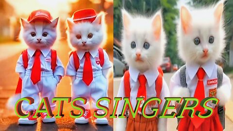 CATS SINGING RAHMANTUN POEMS LIL'ALAMEEN KITTYDAV GEMOY COLOURFUL CATS 2023🥰🥰