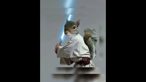 KarmasQuirrel ART