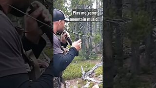 True Mountain Music! #wyoming #shortsvideo #shortsfeed #hunting #elk #elkhunting #wildlife #hunt