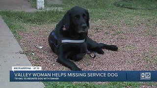 Valley woman helps missing service dog