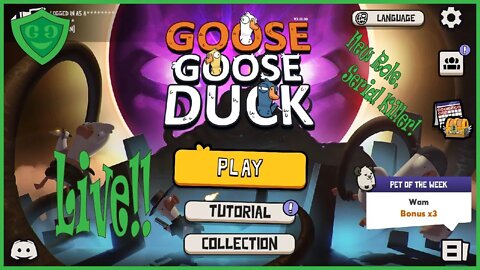 It Hasn't Been Tuesday Since Last Tuesday! | Goose Goose Duck