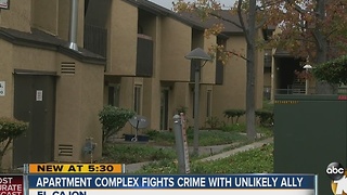 El Cajon apartment complex fights crime with unlikely ally