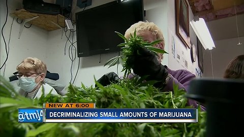 Gov. Tony Evers proposes plan to decriminalize recreational marijuana