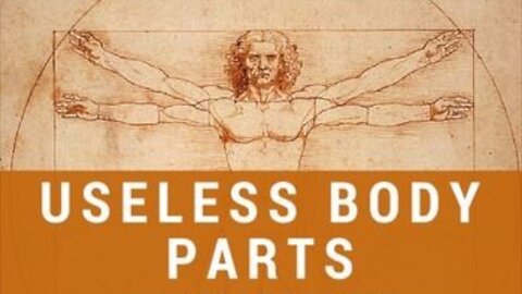 5 Useless Human Body Parts You Don't Need - Evolution Leftovers