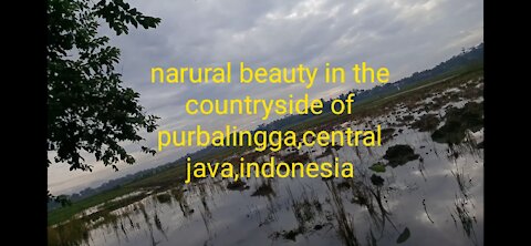 Natural beauty in the countryside of purbalingga,central java,indonesia