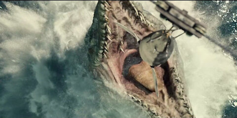 Large Crocodile eat The Shark in One Bite