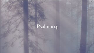 Psalm 104 - A Musical Accompaniment