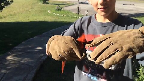 Redbird Release (Texas)