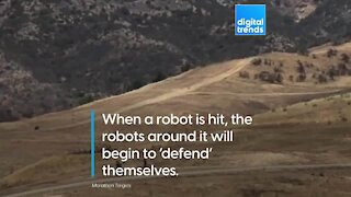Smart Military Training Robots
