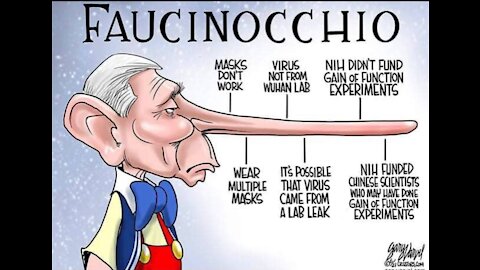 Faucinocchio