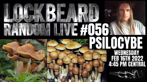 LOCKBEARD RANDOM LIVE #056. Psilocybe