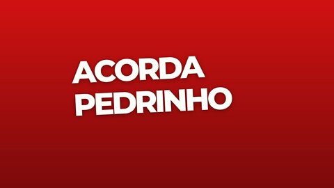 ACORDA PEDRINHO! HOJE TEM CAMPEONATO