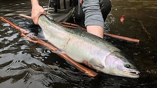 Steelhead Fishing Tips | Properly Handling & Releasing Wild Steelhead