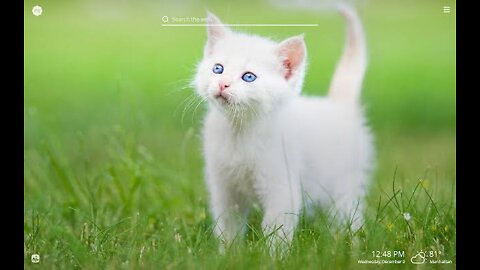 Cat remarkably startled by harmless object