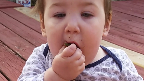 Baby Girl Tries To Eat A Frog