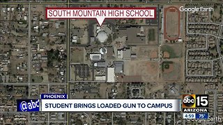 Student brings guns to campus