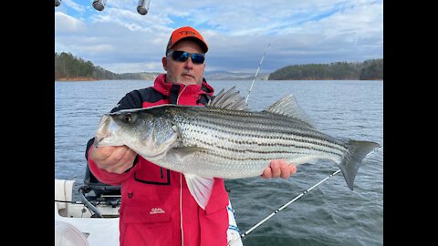 Striper, Hybrid & Spotted Bass fishing @ Carters Lake Dec 2020