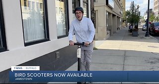 BIRD Scooters now available