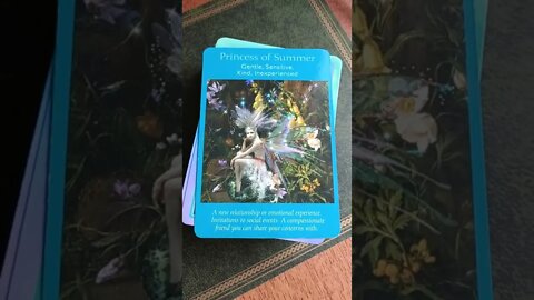 🧚‍♂️Timeless Reading🧚‍♂️ #fairytarot #tarot #timelessreading