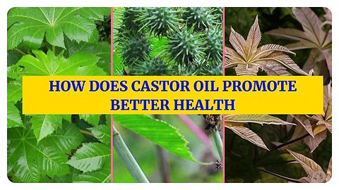 Health Benefits of Castor Oil: A Comprehensive Guide