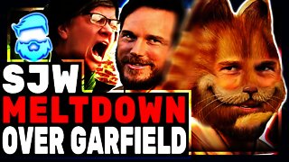 Absolute MELTDOWN Over Chris Pratt Voicing Garfield! Twitter Weirdos Cry & Lie Over Casting!