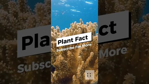 Learn Amazing Plant Facts Now! #shorts #garden #shortsfeed #shortvideo #plants #planet #green