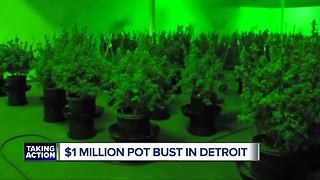 Detroit police and Customs and Border Patrol bust million dollar marijuana grow operation