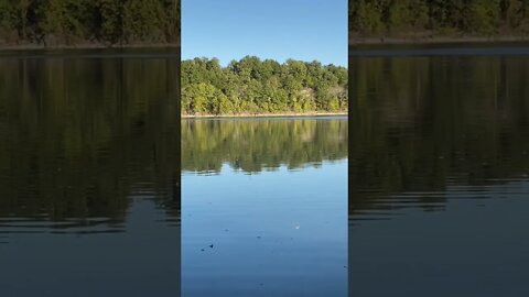 Morning Lake Sounds | Grand Lake of the Cherokees | Geese | Birds | #Shorts| #YouTubeShorts