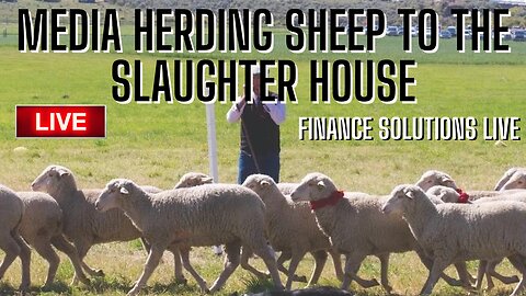 CLASSIC MEDIA HERDING ALL SHEEP INTO GOING SHORT FINANCE SOLUTIONS-YT LIVE