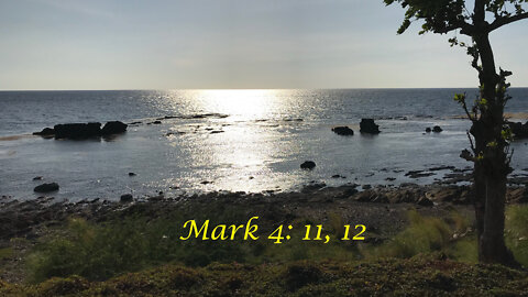 Be Forgiven, Perceive, Understand. Mark 4: 11,12